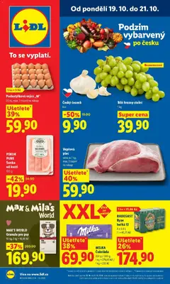 Náhled nabídky: Lidl Lidl aktuální leták platný od 19.10.2026