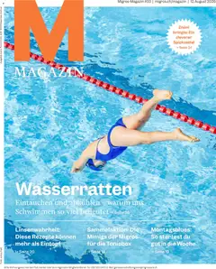 Vorschau des Merkblatts Migros aktionen Magazin vom Shop Migros gültig von 12.08.2026 bis 17.08.2026