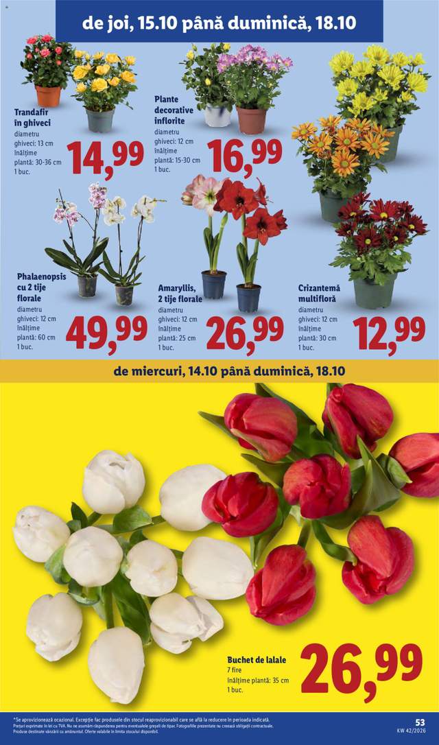 Noul catalog Lidl de la 12.10.
