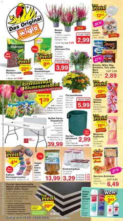 Vorschau von dem Prospekt des Geschäftes Wiglo Wunderland, gültig ab dem 14.09.2026