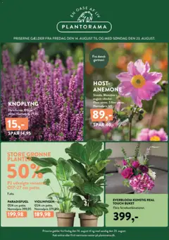 Eksempel på tilbudsavis Plantorama - Tilbudsavis fra butik Plantorama gyldig fra 14/08/2026