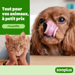 Prévisualisation de Zooplus du magasin Offres formulaire valide 14/08/2026