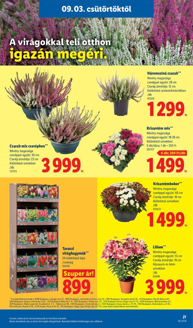 Új Lidl akciós újság 09.03.