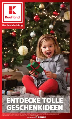 Voorbeeld van Kaufland DE - Folder Kerstmis van winkel Kaufland DE geldig vanaf 10-10-2026