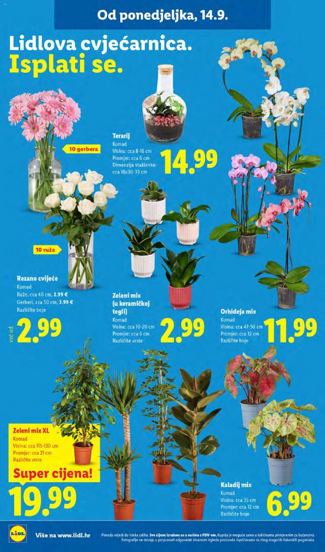 Novi Lidl katalog od 14.09.