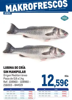 Vista previa del folleto de la tienda Makro válido desde el 16/06/2026 