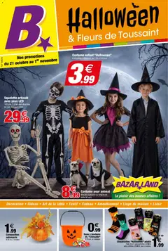 Prévisualisation de Bazarland catalogue du magasin Bazarland formulaire valide 21/10/2026