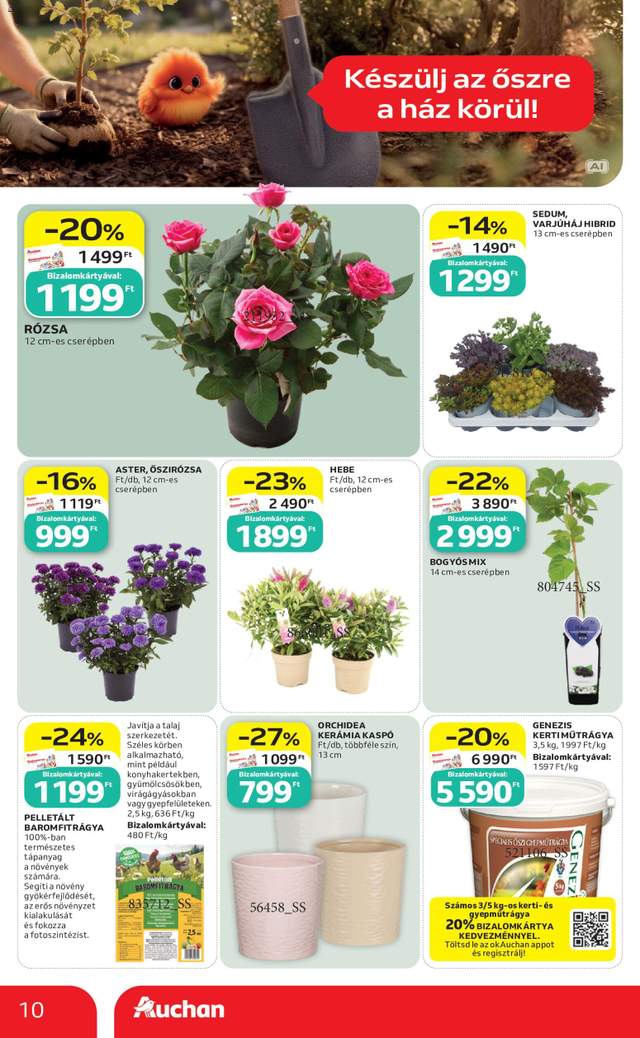 Új Auchan akciós újság 09.10.