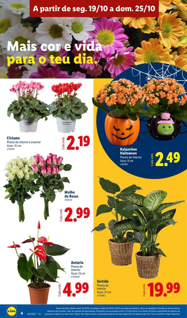 Novo folheto Lidl a partir de 19/10