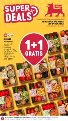 Prévisualisation de Delhaize Folder du magasin Delhaize formulaire valide 08/10/2026
