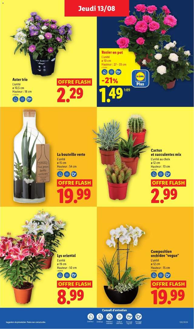 Nouveau catalogue Lidl à partir du 13/08