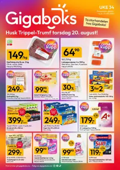 Forhåndsvis Gigaboks kundeavis fra butikk Gigaboks gyldig fra 17/08/2026