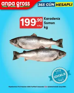 Anpa Gross Anpa Gross İndirim 17.06.2026 - Broşürünün önizlemesi