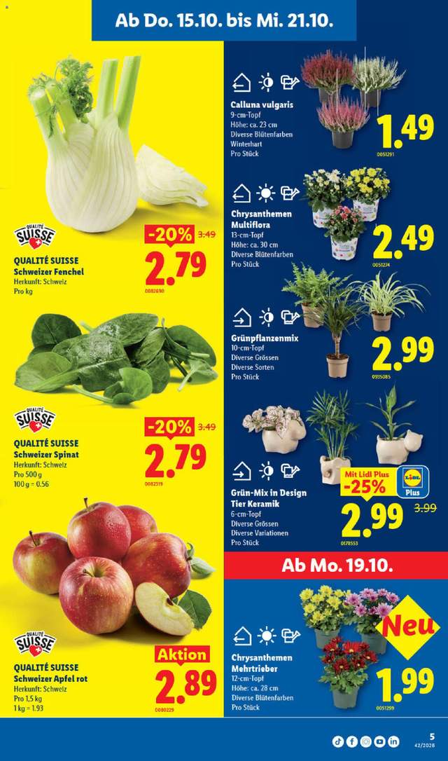 Neue Lidl Aktionen ab 15.10.