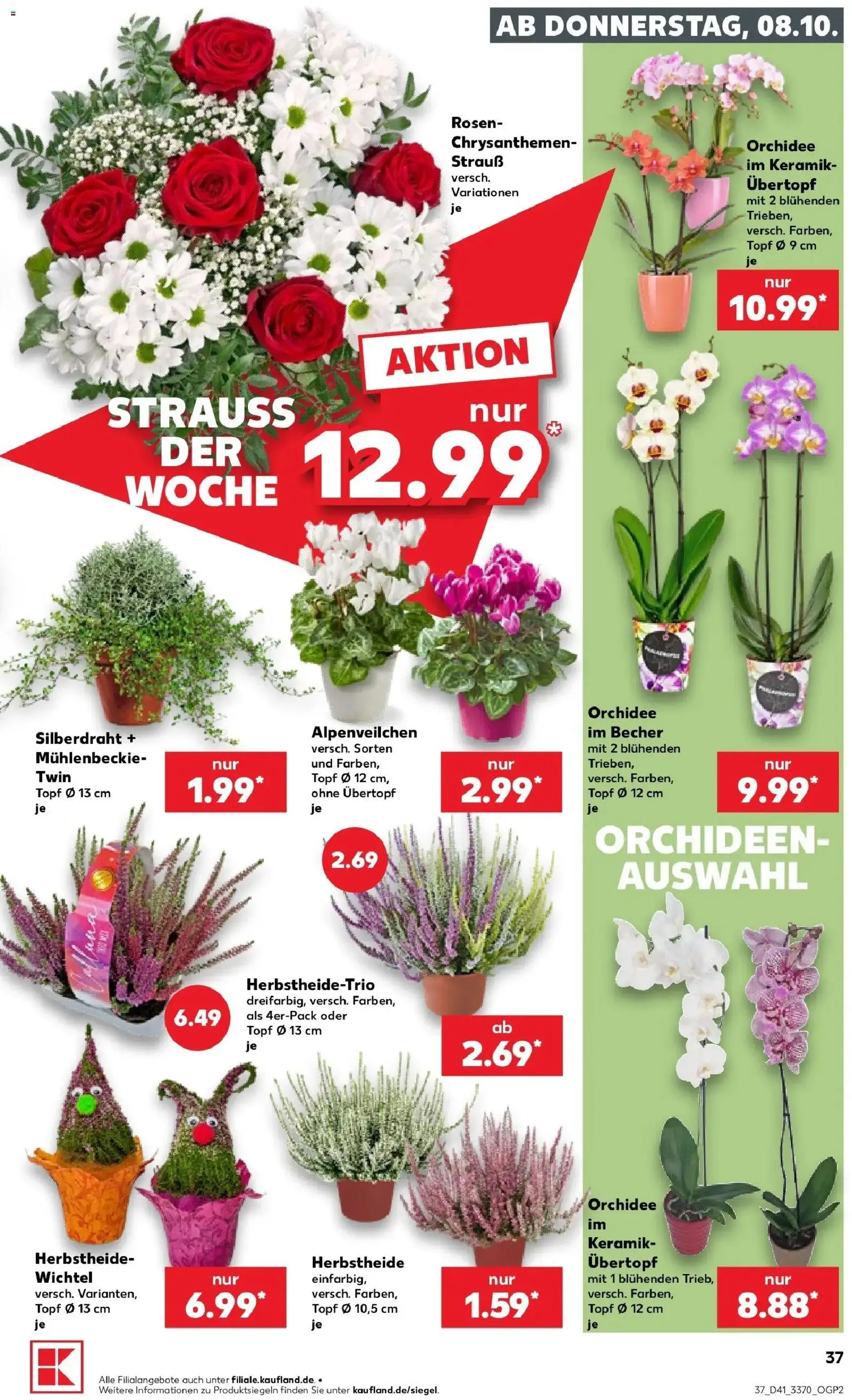 Vorschau von dem Prospekt des Geschäftes Kaufland, gültig ab dem 08.10.2026 - Orchidee