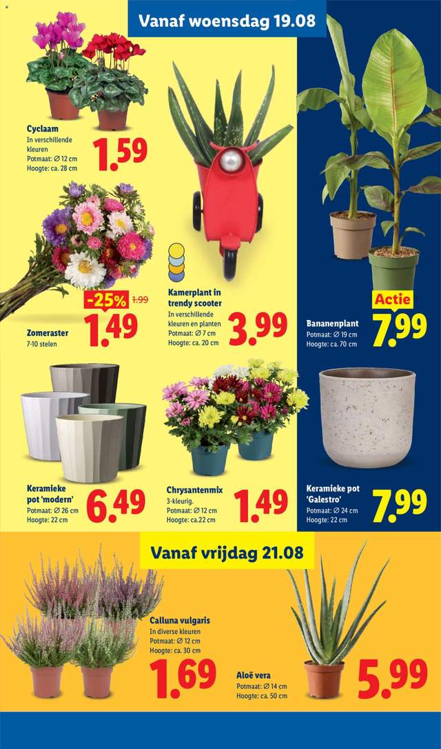 Nieuwe Lidl folder vanaf 17-08