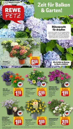Vorschau von dem Prospekt des Geschäftes Rewe, gültig ab dem 10.05.2026