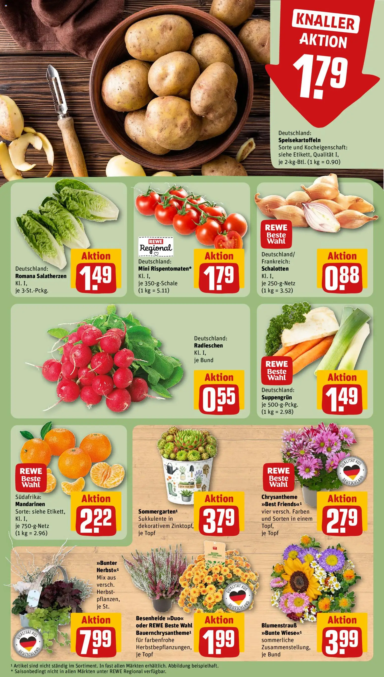Vorschau von dem Prospekt des Geschäftes Rewe, gültig ab dem 07.09.2026 - Mandarinen
