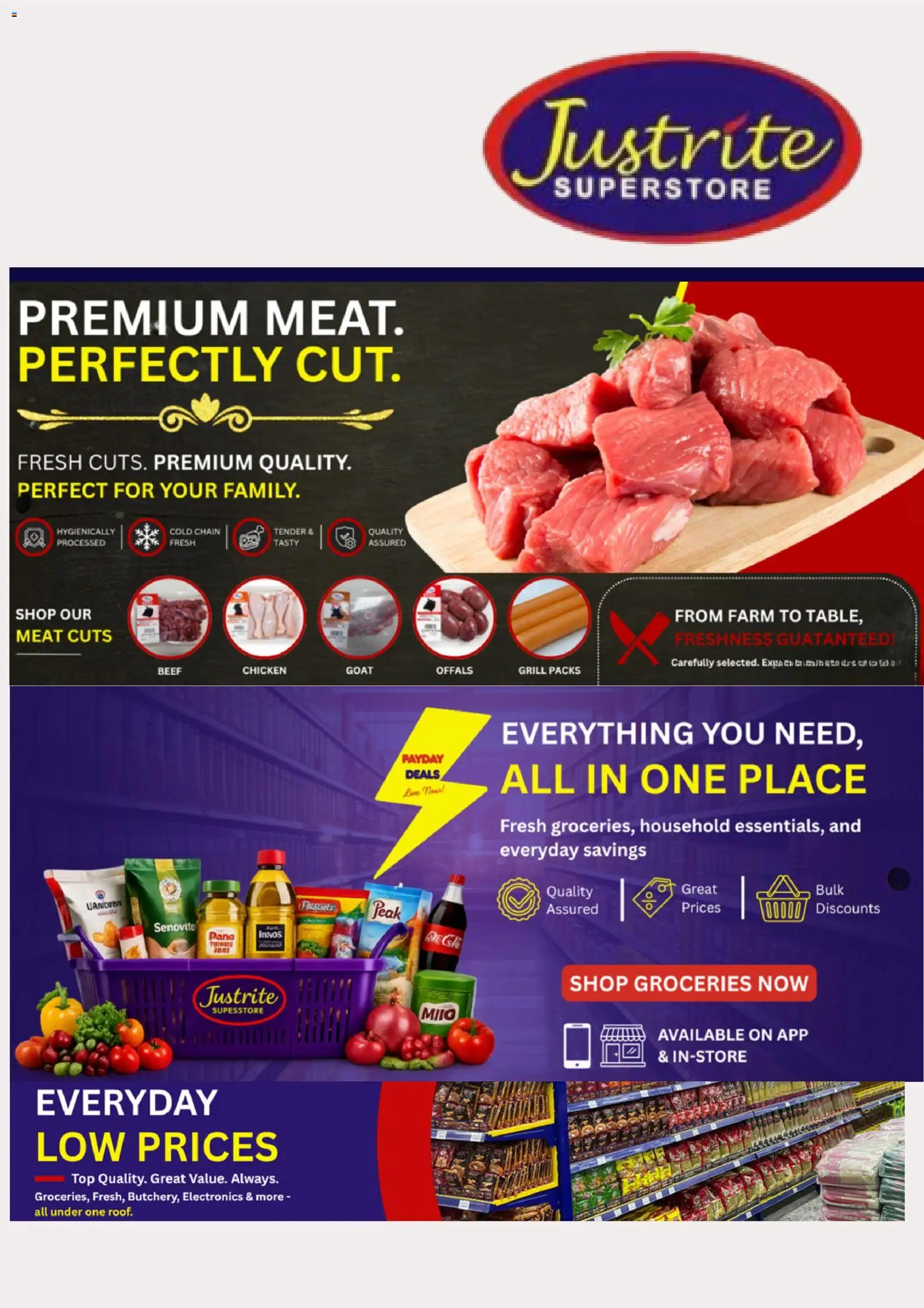 Preview of Justrite Justrite Catalogue valid 15/07/2026