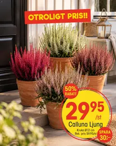Förhandsgranska reklamblad EKO erbjudanden från butik EKO gäller från 26/08/2026