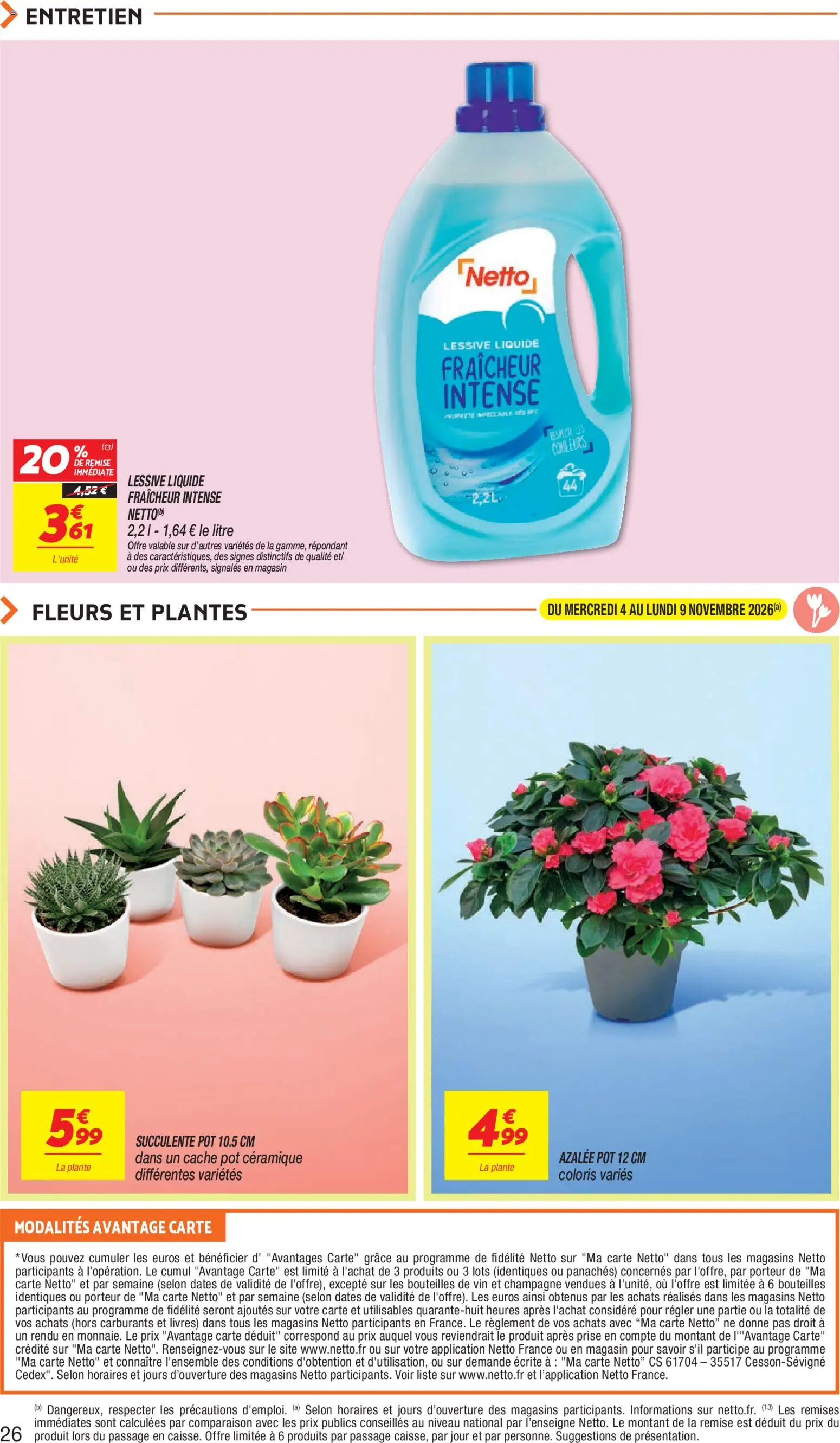 Prévisualisation de Netto - Temps fort Novembre du magasin Netto formulaire valide 03/11/2026 - Fleurs, Champagne, Vin, Plantes, Lessive, Prise, Succulente, Fleurs et plantes