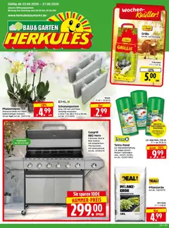Vorschau von dem Prospekt des Geschäftes HERKULES, gültig ab dem 22.06.2026