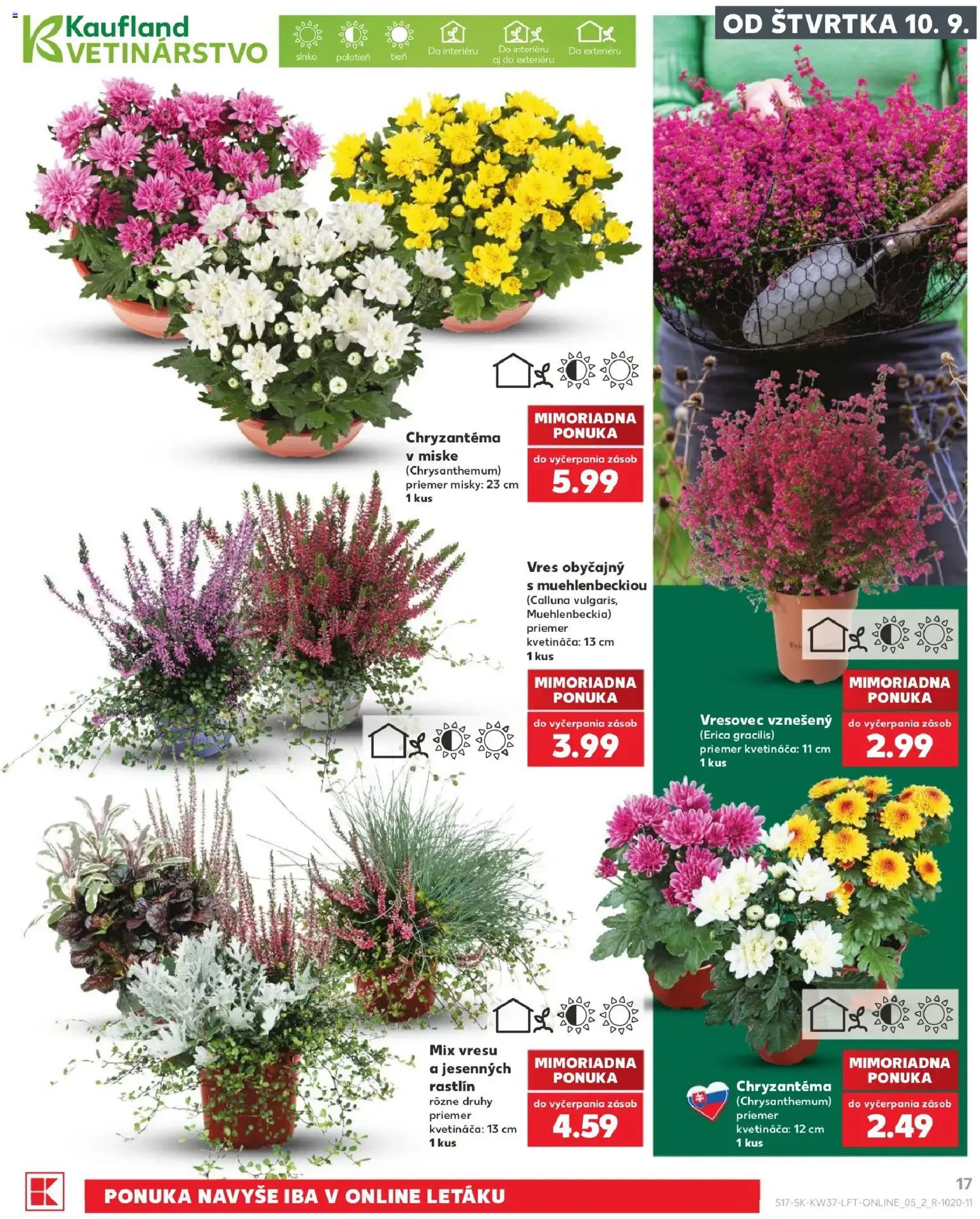 Náhľad Kaufland letáku platného od 10.09.2026