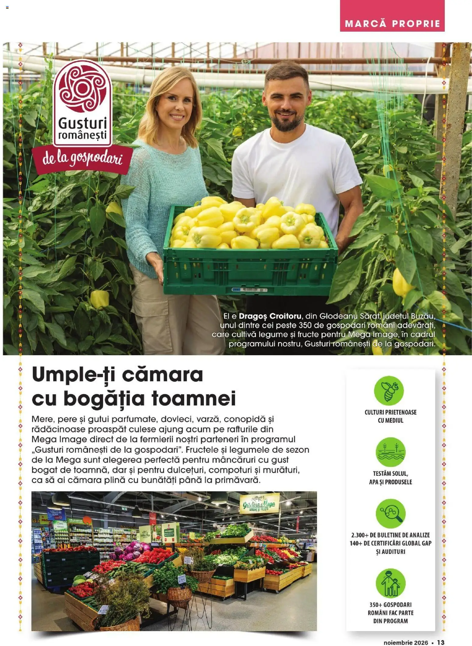 Previzualizarea de cataloage: Mega Image Mega Image Catalog Noiembrie valabil de la 01.11.2026 - Apă, Legume, Fructe, Pește, Pere, Conopidă