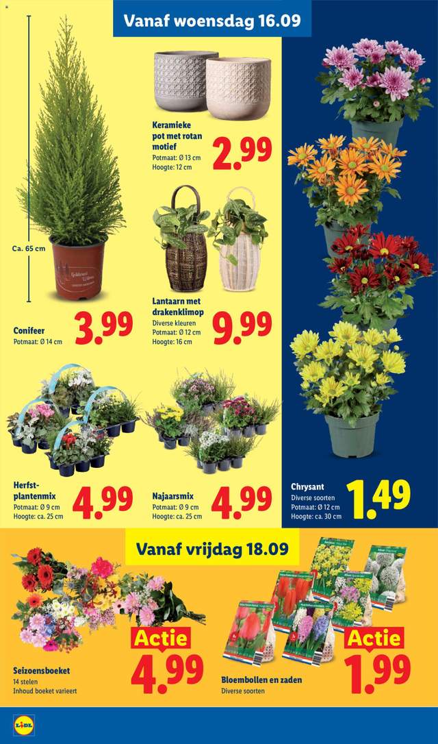 Nieuwe Lidl folder vanaf 14-09