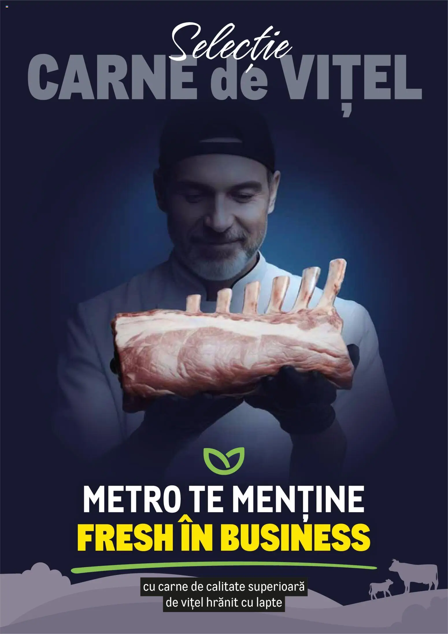 Previzualizarea de cataloage: Metro Catalog - Selectie Carne de vițel valabil de la 23.02.2026 - Lapte