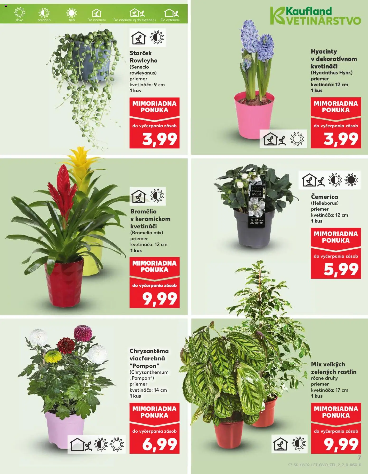 Náhľad Kaufland letáku platného od 08.01.2026