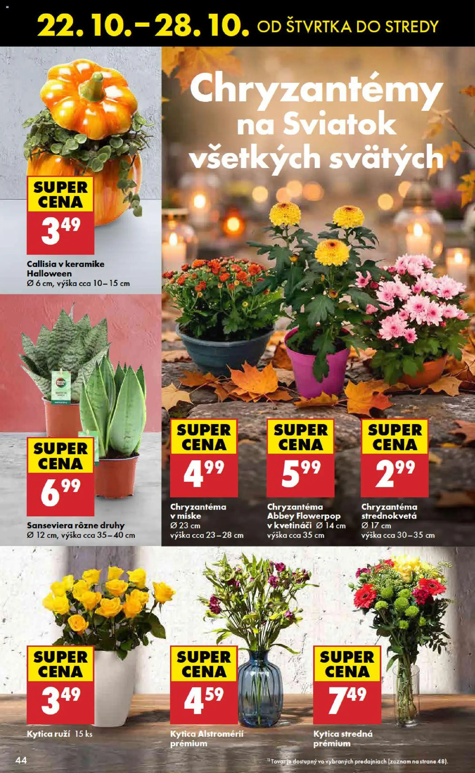 Náhľad Biedronka letáku platného od 22.10.2026