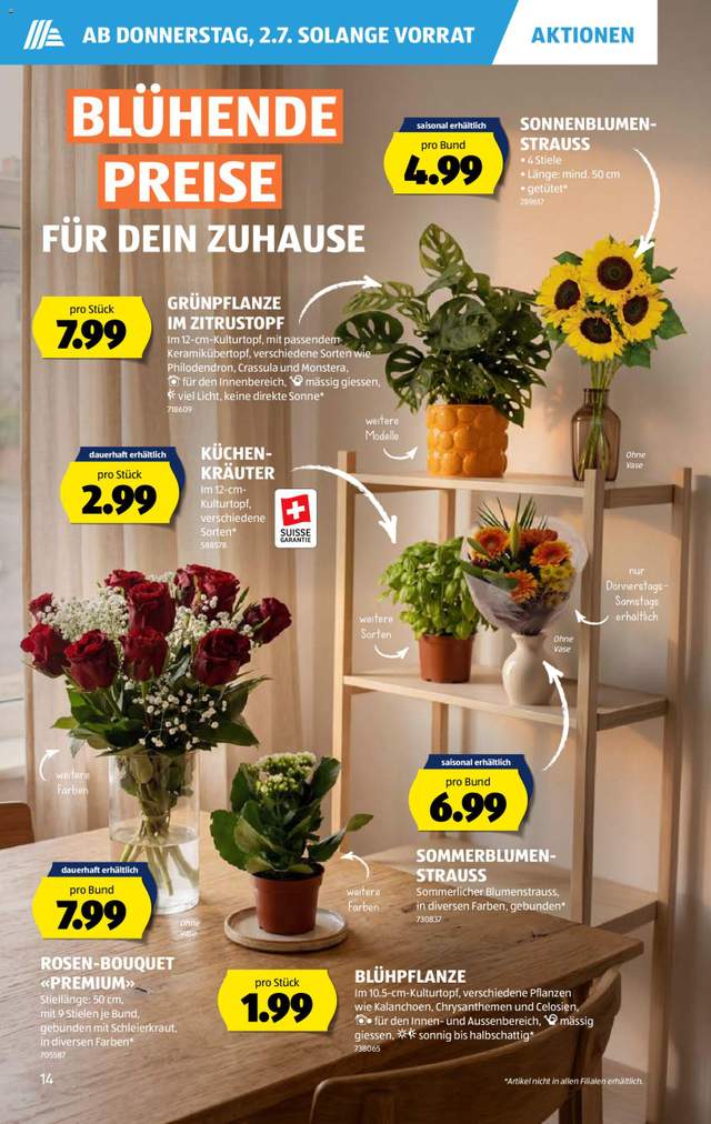 Neue Aldi Aktionen ab 02.07.
