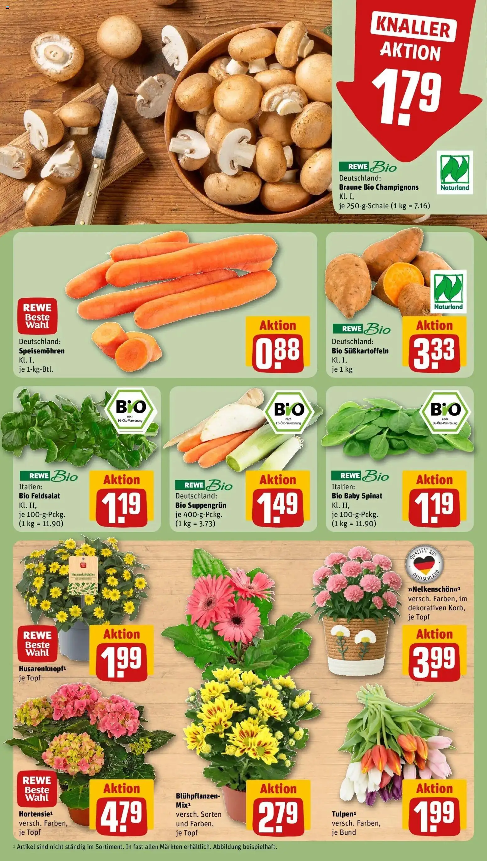Vorschau von dem Prospekt des Geschäftes Rewe, gültig ab dem 05.04.2026 - Champignons
