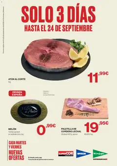 Vista previa del folleto de la tienda Hipercor válido desde el 22/09/2026 