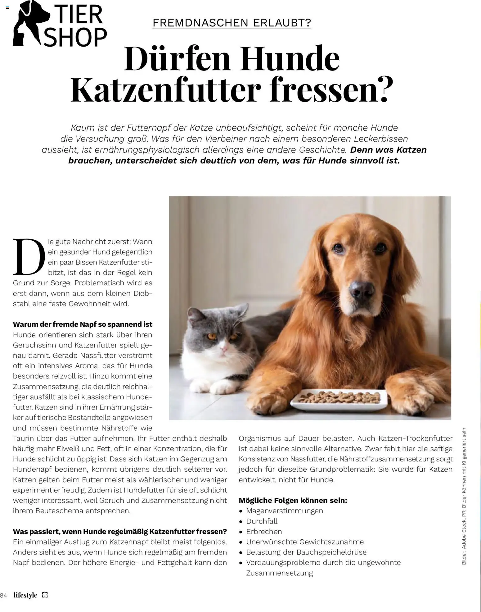 Vorschau von dem Prospekt des Geschäftes Müller, gültig ab dem 01.09.2026 - Bilder, Nachricht, Katzenfutter