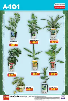 A101 A101 İndirim 27.04.2026 - Broşürünün önizlemesi
