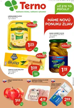 Náhľad Terno letáku platného od 22.10.2026