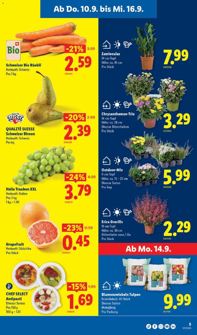 Neue Lidl Aktionen ab 10.09.