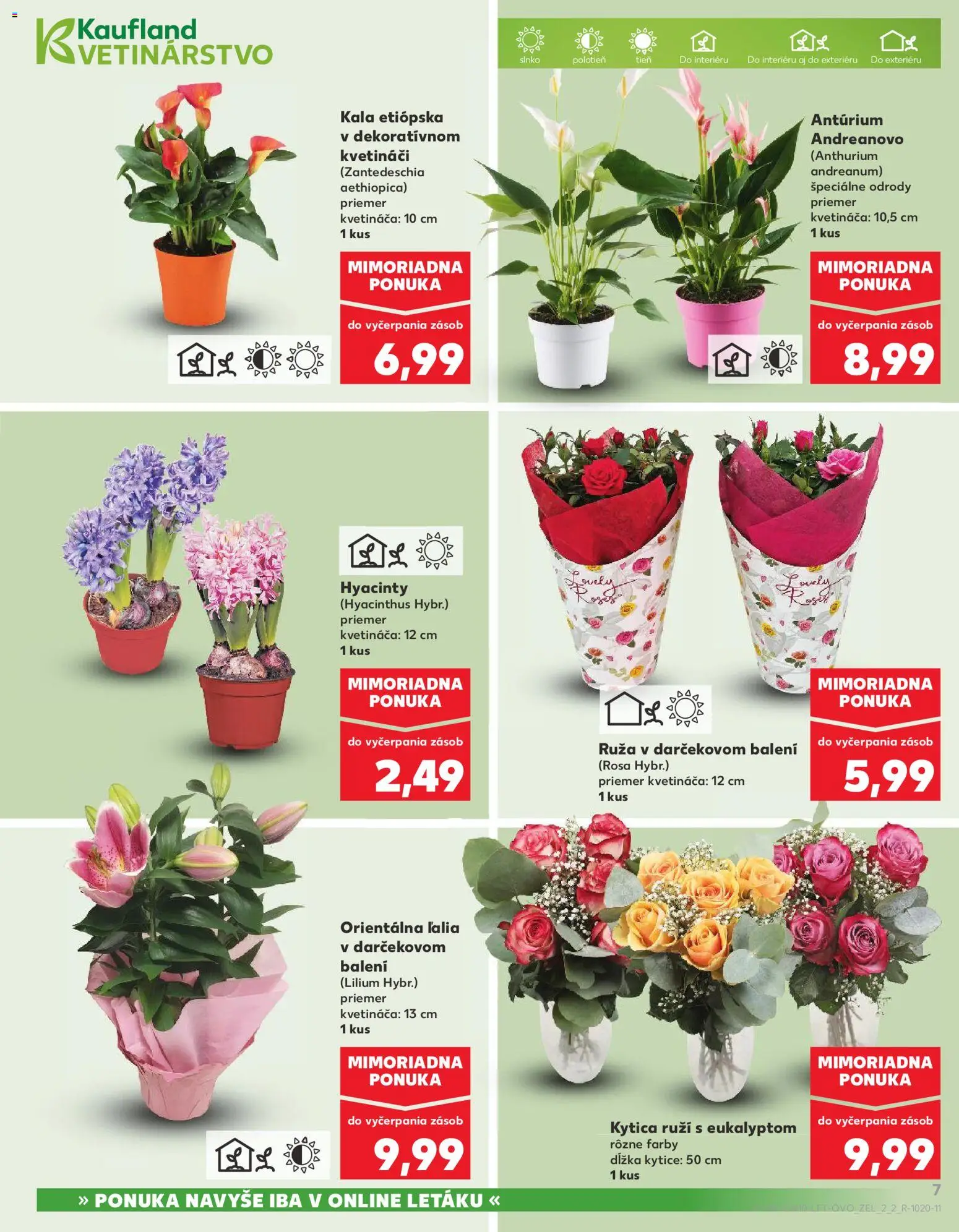 Náhľad Kaufland letáku platného od 05.03.2026