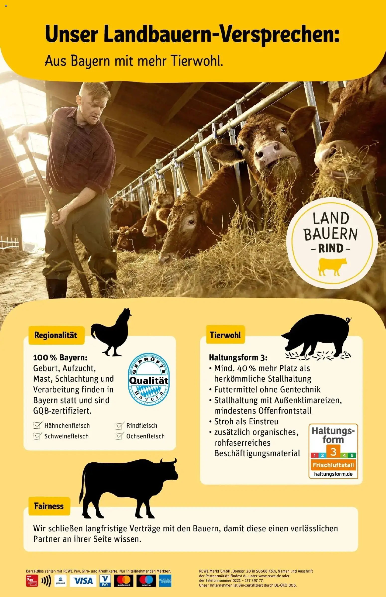 Vorschau von dem Prospekt des Geschäftes Rewe, gültig ab dem 26.10.2026