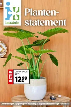 Voorbeeld van Intratuin folder van winkel Intratuin geldig vanaf 31-08-2026