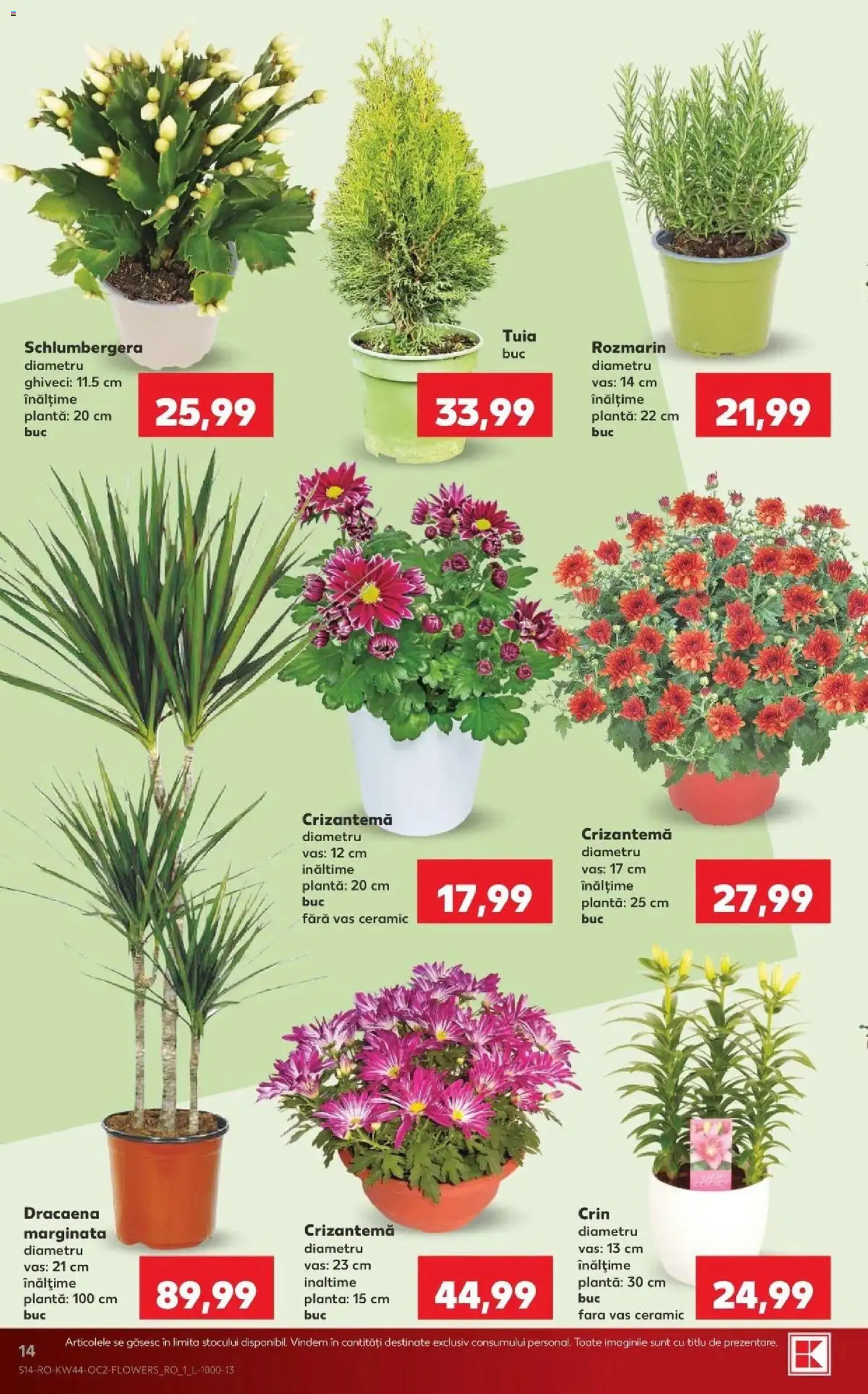 Previzualizarea de cataloage: Kaufland Kaufland Satu Mare valabil de la 28.10.2026 - Ghiveci