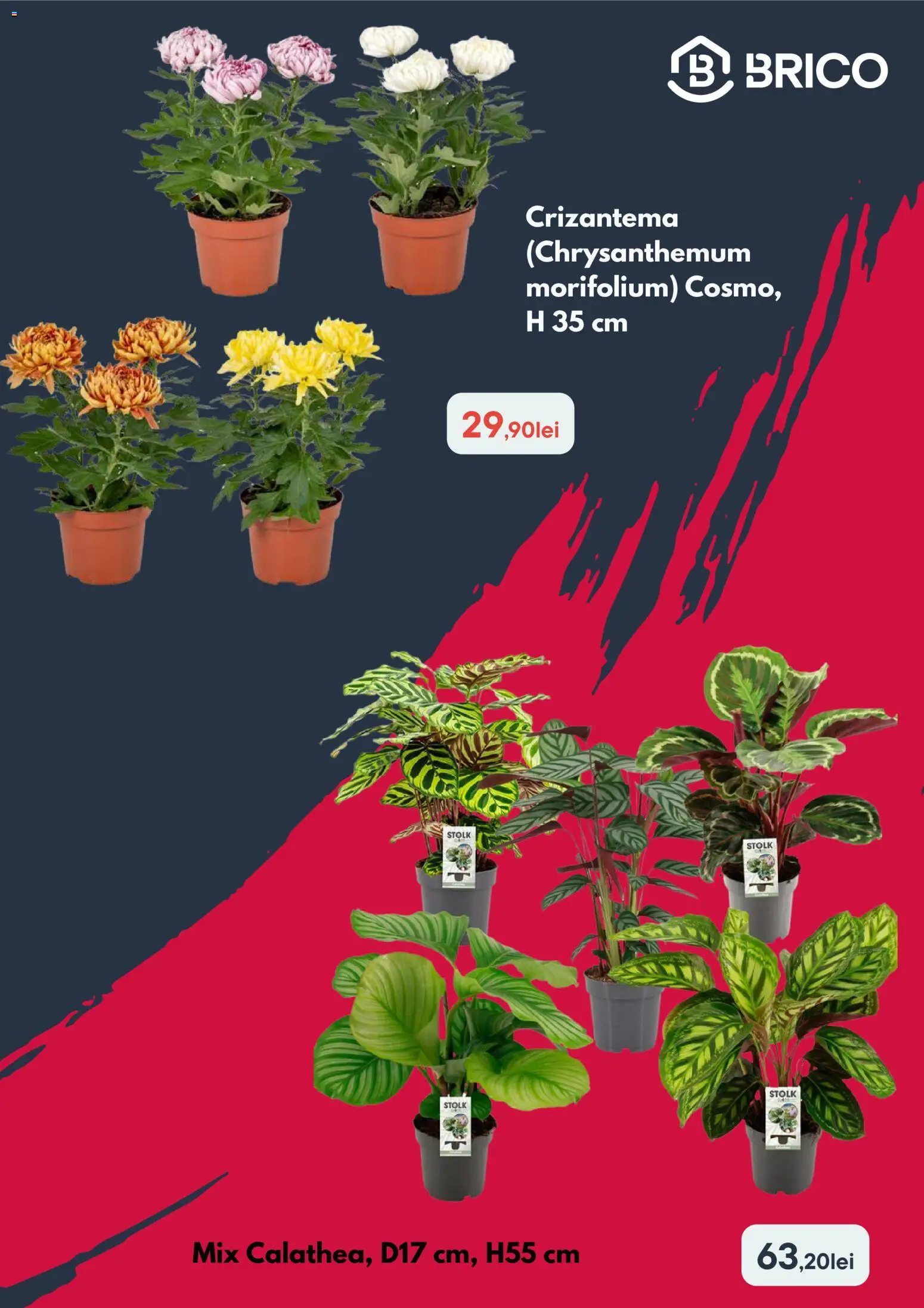 Previzualizarea de cataloage: Brico Depot Brico Depot Catalog valabil de la 15.10.2026