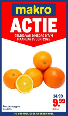 Voorbeeld van Makro folder - Versdeals van winkel Makro geldig vanaf 09-06-2026