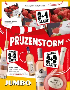 Prévisualisation de JUMBO Folder / Publicité du magasin JUMBO formulaire valide 13/05/2026