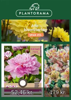 Eksempel på tilbudsavis Plantorama - Tilbudsavis fra butik Plantorama gyldig fra 05/05/2026