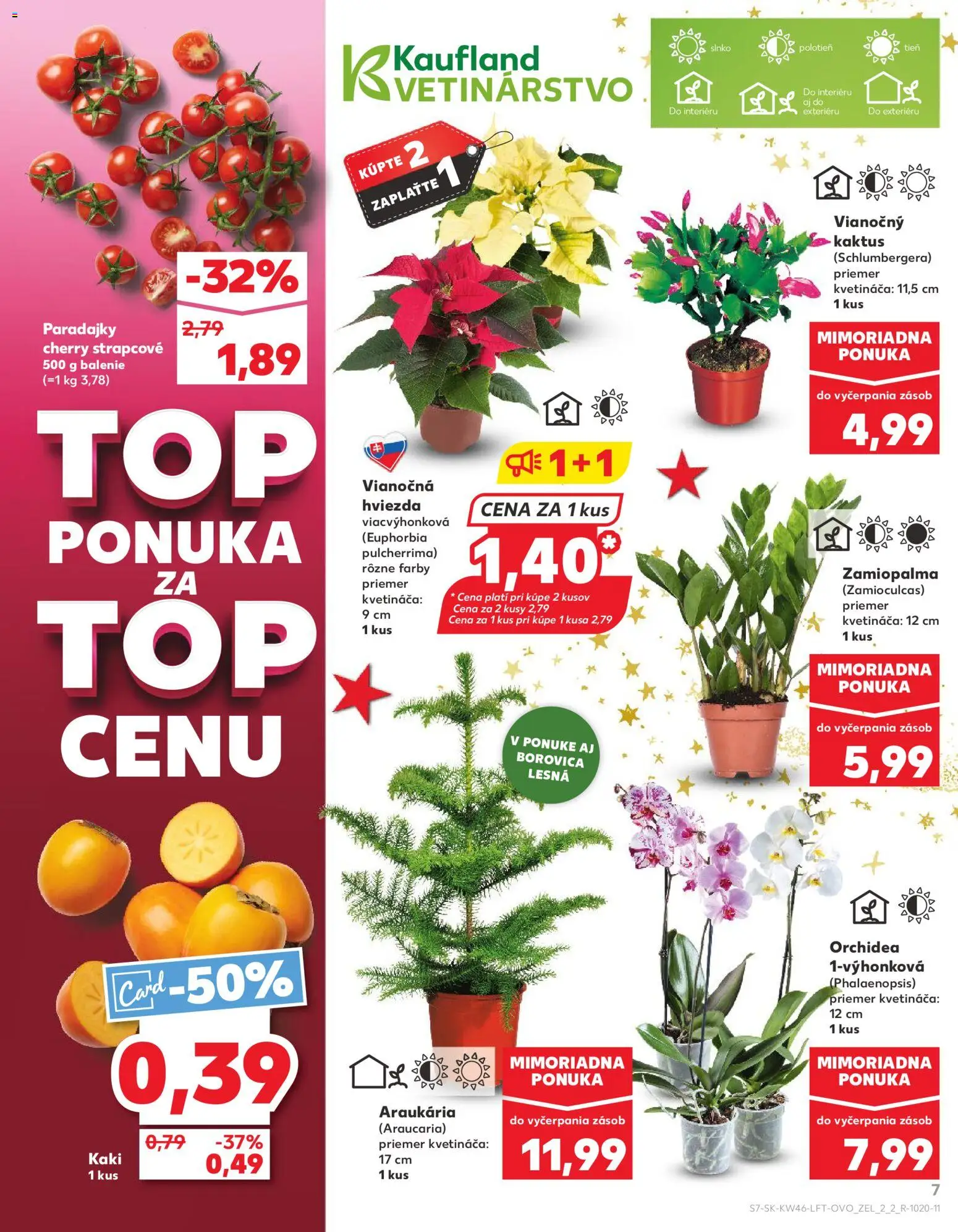 Náhľad Kaufland letáku platného od 13.11.2025 - Orchidea, Paradajky, Kaki