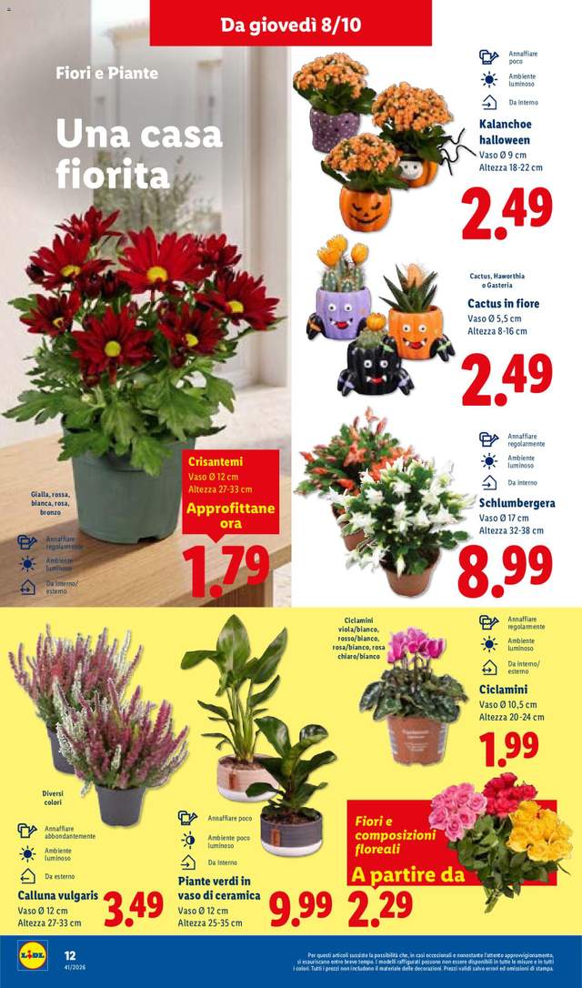 Nuovo volantino Lidl dal 08/10