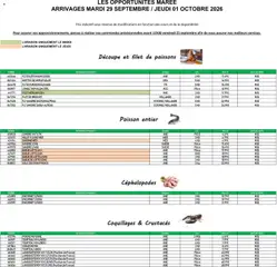 Prévisualisation de Promocash Opportunités Marée du magasin Promocash formulaire valide 29/09/2026